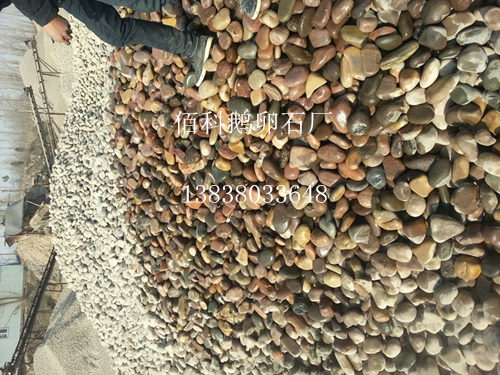 分撿現(xiàn)場
